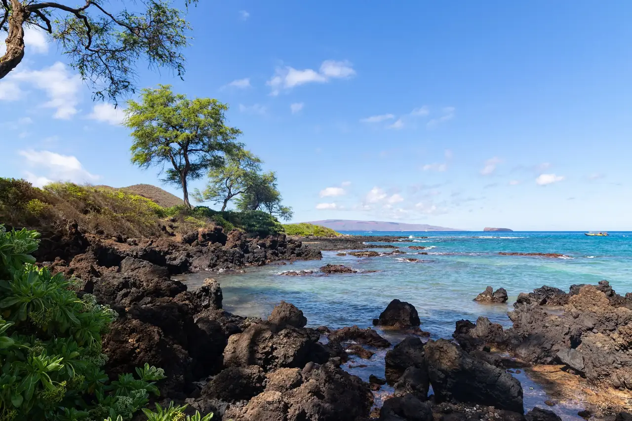 Rocky Maui coastline and clear water